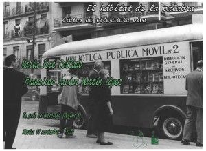 EL HABITAT un gato 11 de noviembre